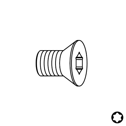 Šroub TSPTI - M5x5 mm, IGM